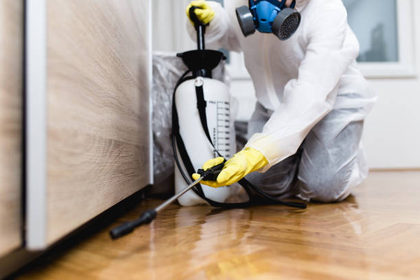 Best Pest Control Near Me  in Greenville, RI