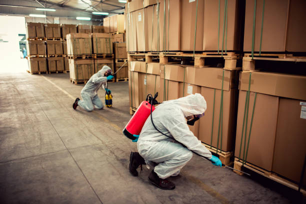 Best Wasp Removal Services  in Greenville, RI
