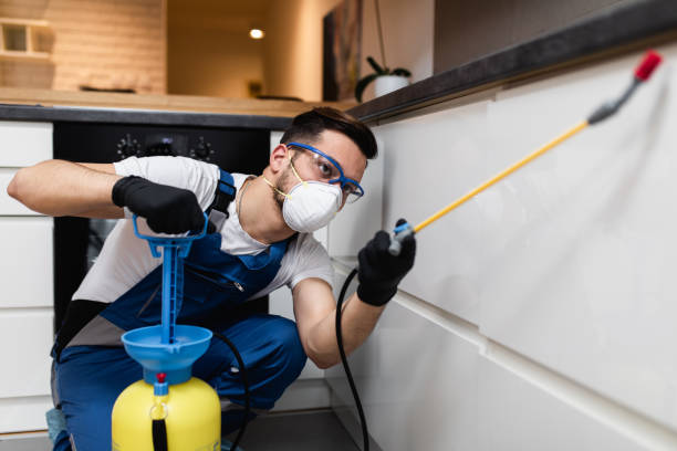 Best Pest Prevention Services  in Greenville, RI