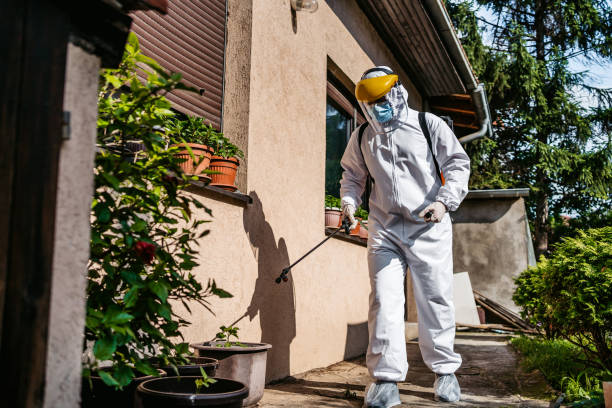 Best Flea Control Services  in Greenville, RI