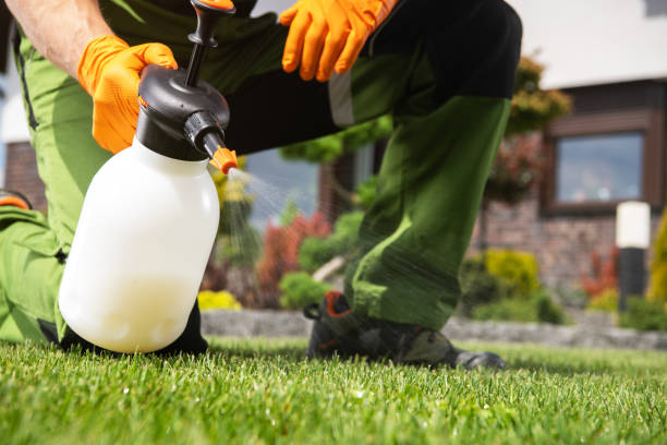 Reliable Greenville, RI Pest Control Solutions