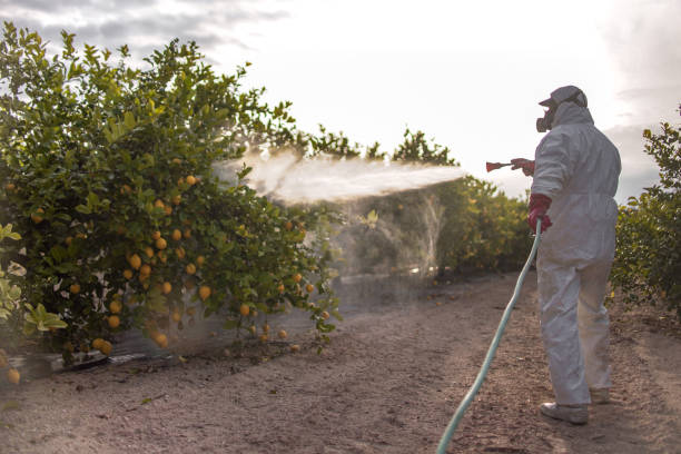 Best Residential Pest Control  in Greenville, RI