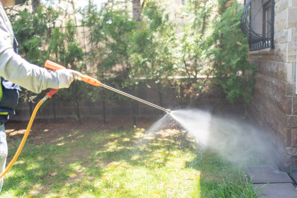 Wasp Removal Services in Greenville, RI