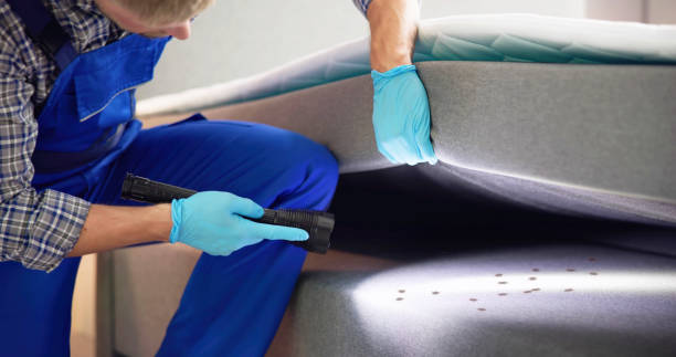 Best Exterminator Services  in Greenville, RI
