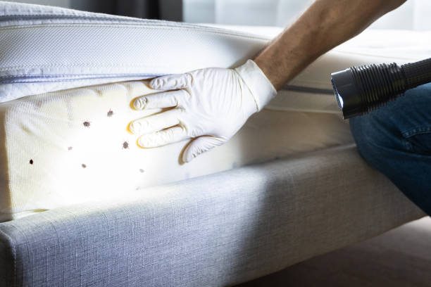 Best Affordable Pest Control Services  in Greenville, RI