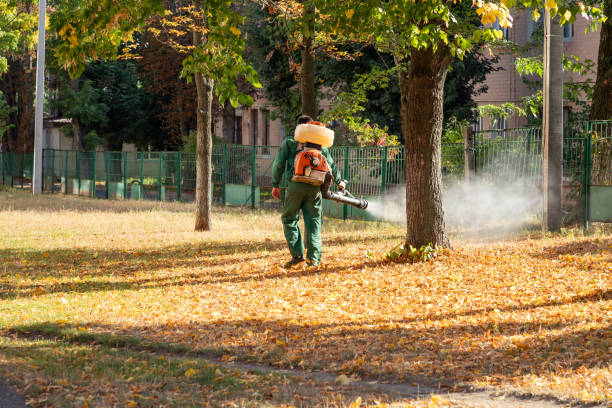 Best Termite Control Services  in Greenville, RI