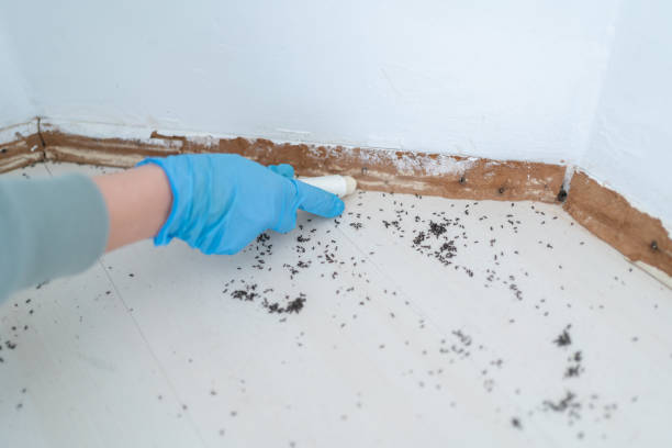 Best Emergency Pest Control  in Greenville, RI